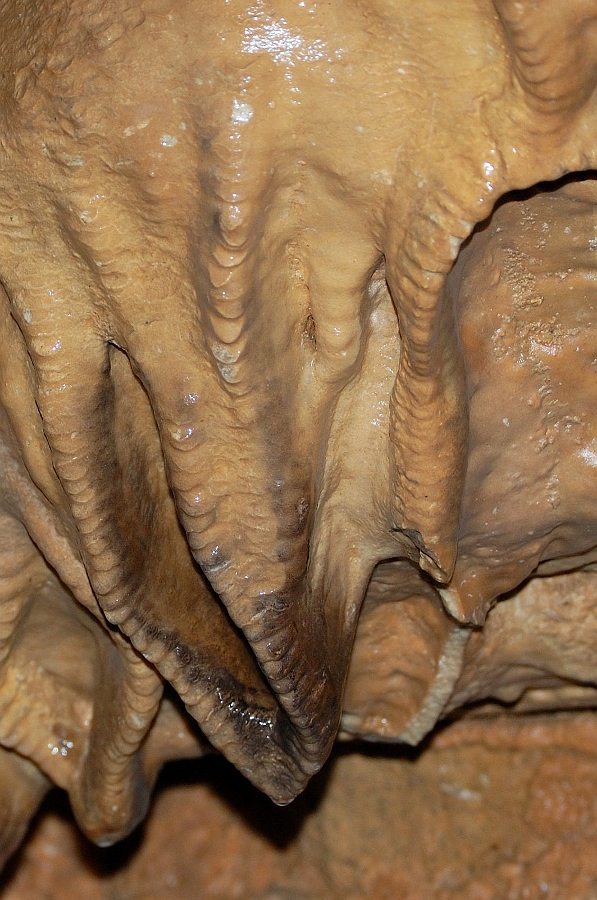 Konepruske_jeskyne I.jpg - Výřez